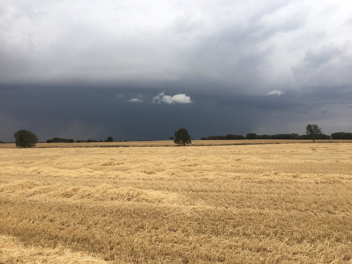 lassaiz's tweet photo. Hérmedes de Cerrato (Palencia) @tiempobrasero https://t.co/KuMTPIVKe8