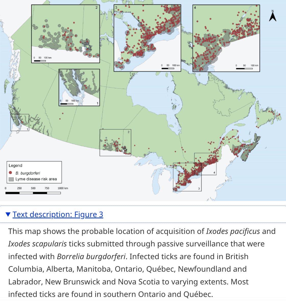 Tick-borne infections are a growing issue in Canada. 1. ~20% of ticks have evidence of Borrelia burgdorferi (causes Lyme disease). 2. Much less common but still here: Anaplasmosis, Babesiosis, other Borrelia spp, & Powassan virus. 🇨🇦 bit.ly/3bNb4Pz by C Wilson et al.