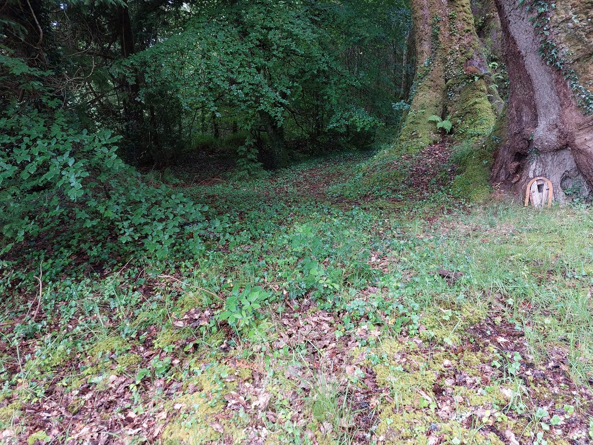 LeitrimTNetwork's tweet photo. Wednesday Walk - Lurganboy Woods.
This is the perfect walk to burn off some energy on a damp day. With lots of fun for children as a nature walk or fairy trail. #walking #forestwalks #nature #wildflowers #fun #outdoors #dogfriendly #fairydoor #enjoy #lurganboy #leitrim #coilte https://t.co/WMBJHJOdxQ