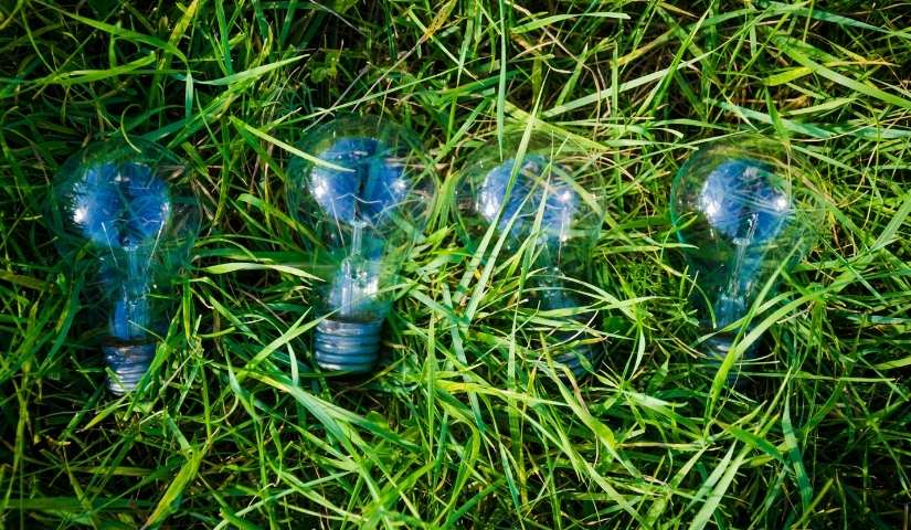 foxmandalindia's tweet photo. It is time to optimally harness technology to protect the environment to sustain future generations and with that #GreenIP also takes a centre stage.
#ipr #ClimateAction
https://t.co/rYT1T2bQmU https://t.co/0nSUBW0Te8