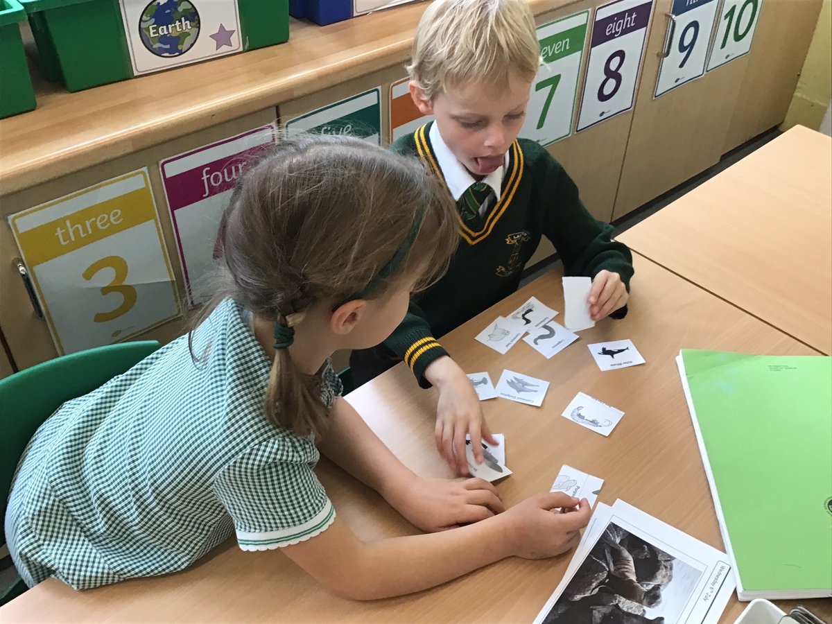 laceygreenpa's tweet image. In Science today Year 1 sorted different animals into where they live  #LGPAScience