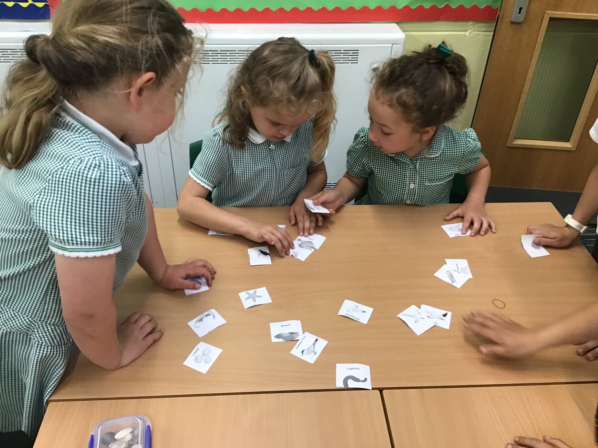 laceygreenpa's tweet image. In Science today Year 1 sorted different animals into where they live  #LGPAScience