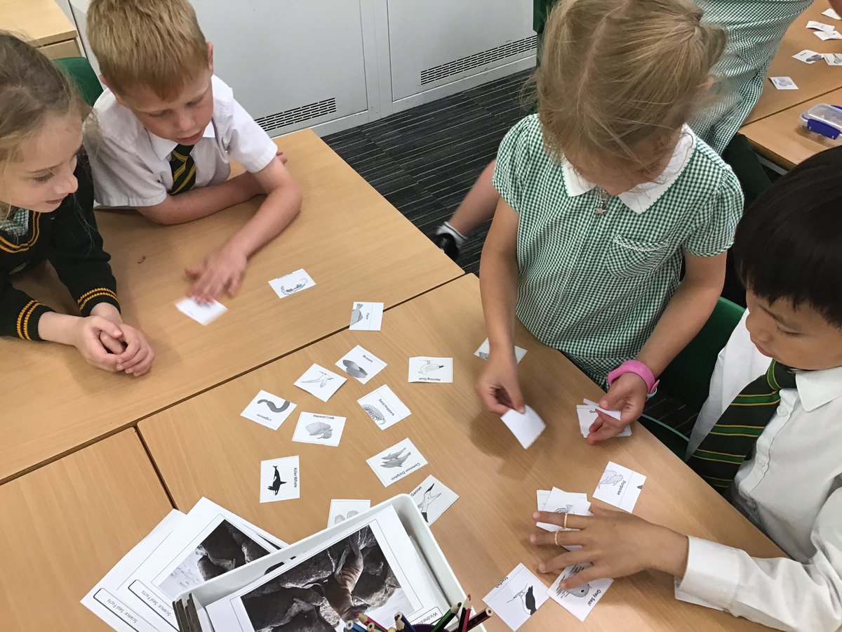 laceygreenpa's tweet image. In Science today Year 1 sorted different animals into where they live  #LGPAScience