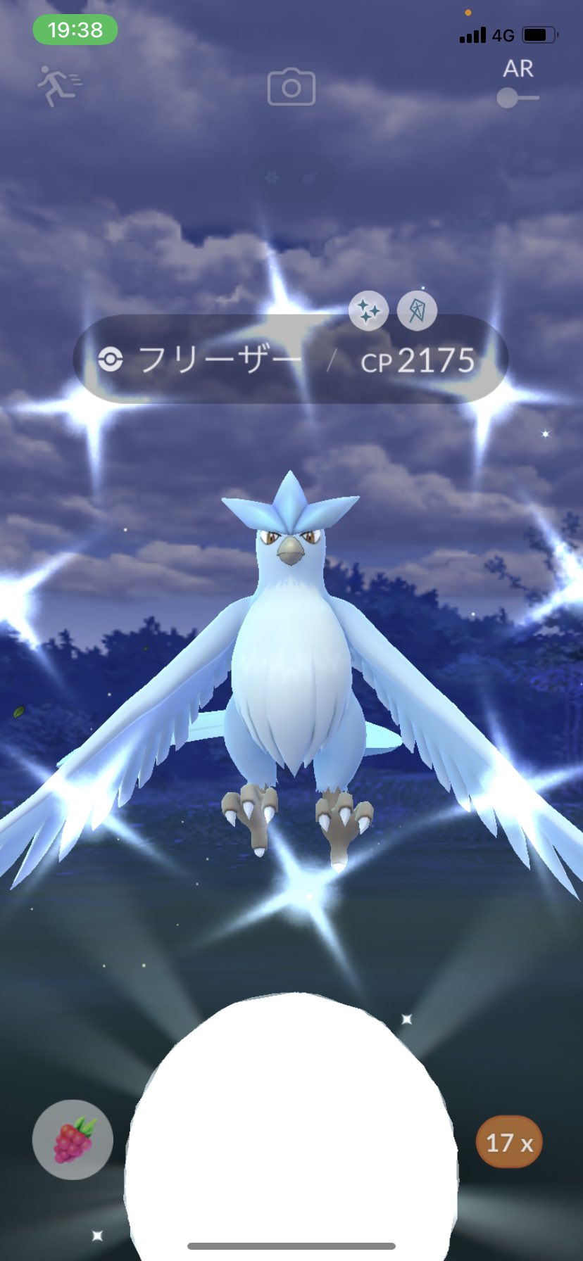 くーちゃん 一部いいね が消えるバグ発生中 ポケモンgo色違い 個体値100 T Co Sgpzthybjp Twitter