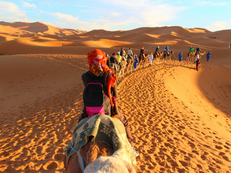 Have you ever taken a Camel ride?

How was your experience?

#camelride #adventure #wanderlust