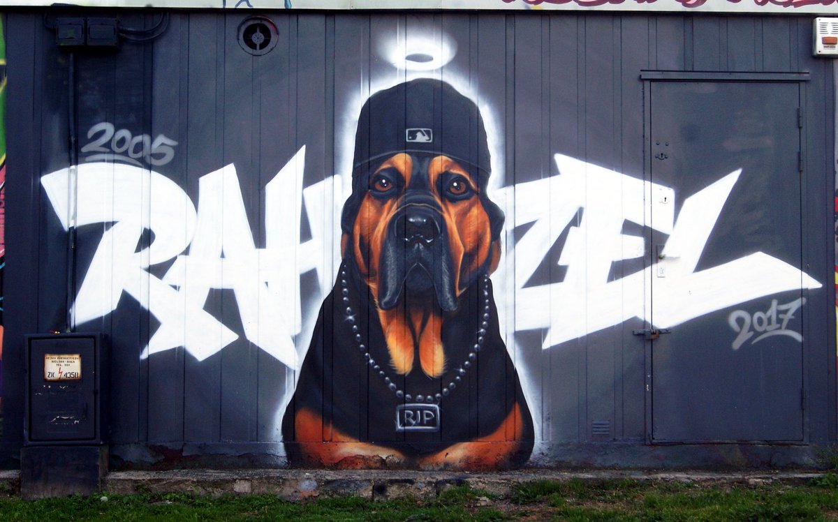 Turbomuralism's tweet photo. GM!Check my tribute wall for my old friend Rahzel i do couple years ago! This one is for all dog lovers 😍🐶 #tribute #dog #doglovers #rip #artwork #art #streetart #rahzel #tributewall #rotwailler #bestfriends #doggy #dogs #DogsofTwittter #NFTartwork #nftphotography #mural https://t.co/Lk1YCGYSvf