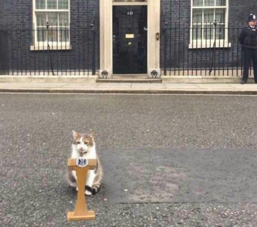 SlenderSherbet's tweet image. "I don't know where to fucking start"