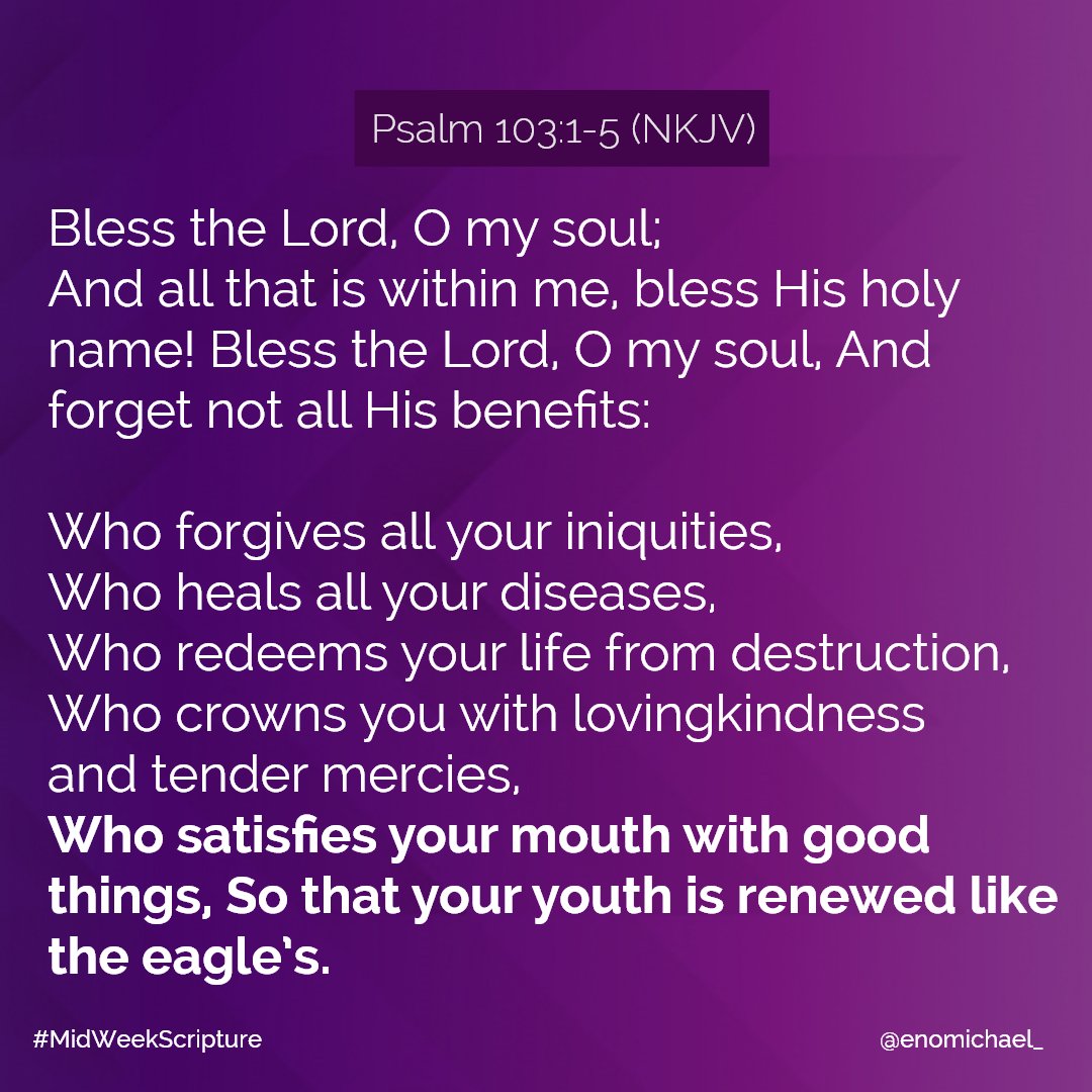 enomichael_'s tweet image. In the midst of the chaos, uncertainty, recession and difficulty, the best attitude will still be gratitude because that's where your strength and hope lies.

#MidweekScripture #GodCannotLie #Linkonmybio
#WARshiper #poweredbytheHolySpirit🔥
#brandedbyMERCY
#distinguishedbyGRACE