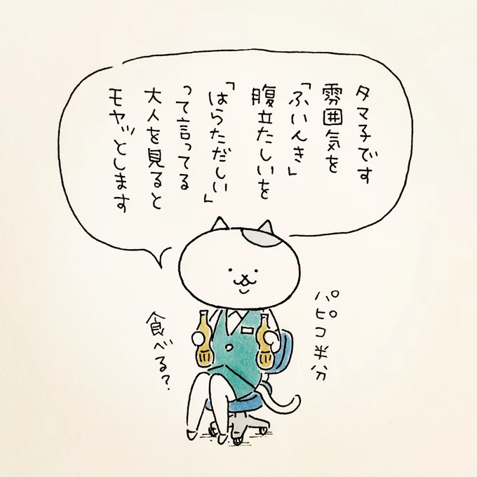 今日のタマ子さん 