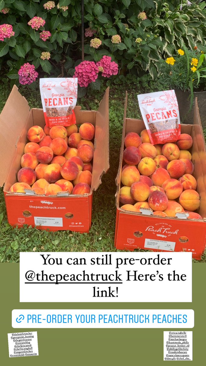 Visit The Peach Truck to receive your free gift! i.refs.cc/P5vJzV5o?smile… Best peaches I have ever eaten