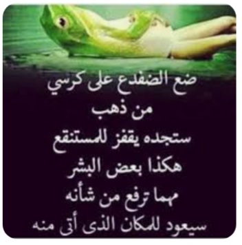 SHaaruuni's tweet photo. Xikmadihi Cali Binu abii Daalib  RC 《1》"Raha waxa aad saartaa kursi dahab ah, waxa aad arki doontaa isaga oo ka soo boodaya, oo qabanaya dhanka godanka iyo meelaha qoyan. Aadamuhuna waa sidaas oo kale, oo qaar baa si kasta oo aad u sharafto ku noqonaya halki ay ka yimaaddeen". https://t.co/4STjk2JtuB