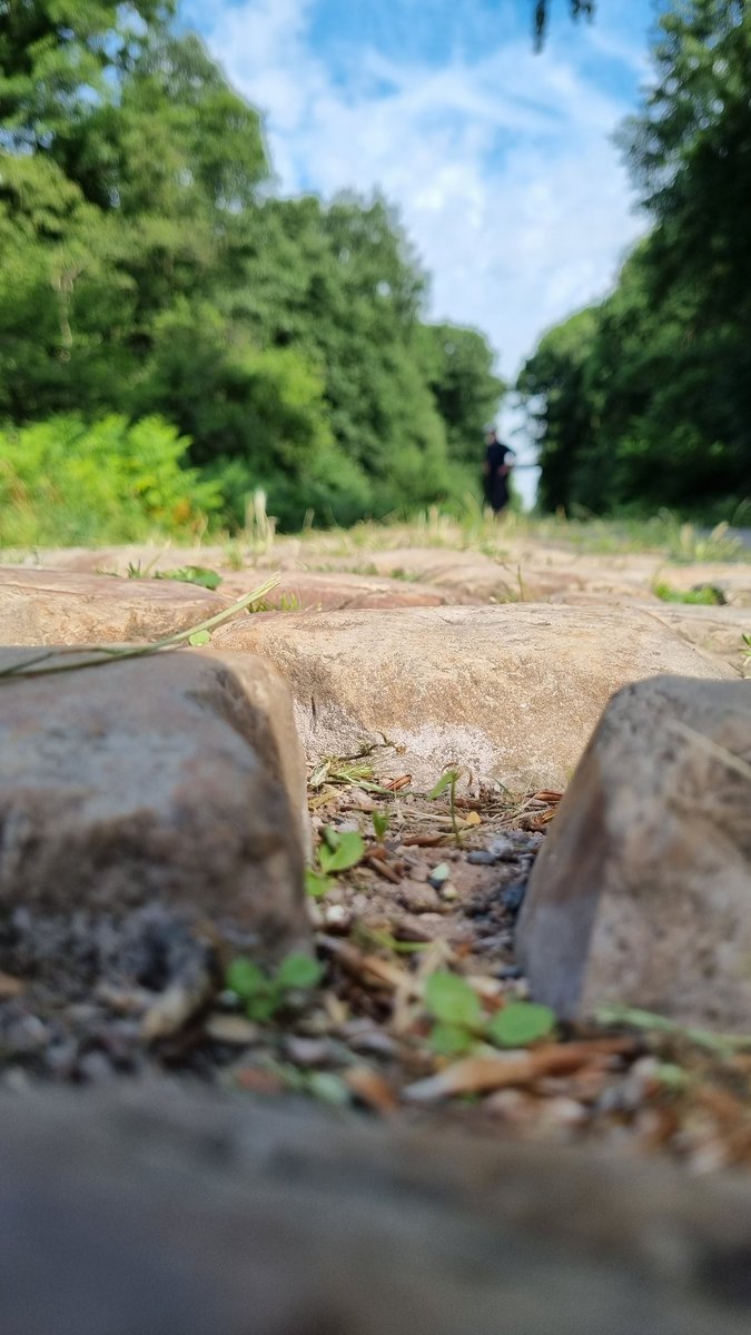 FFLose's tweet photo. Donc des types arrivent là-dessus à 65 km/h en vélo et sont consentants. D'accord. https://t.co/k5q9DmkSqz