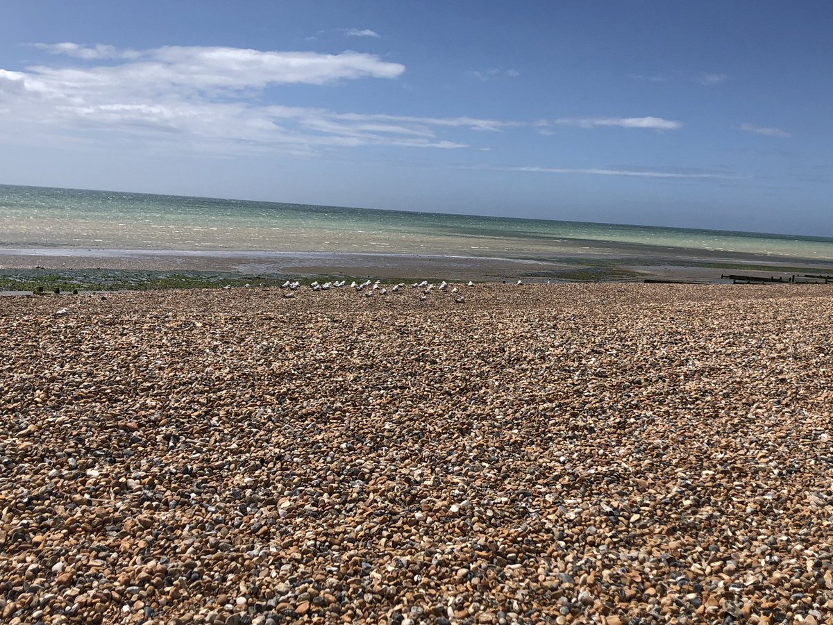 vicki4labour's tweet image. Inspiring to meet the young environment champions with Mr Dean at @StRomerosCS. Students of the Fingerprints (not Footprints) team will join other citizen scientists to collect data needed for our 2nd #Worthing Bathing Status application to DEFRA. 🌊
#PeoplePower #CleanSeasPlease