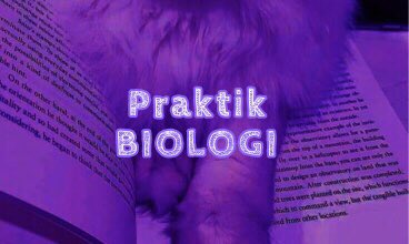 Softthet1c's tweet photo. 🔞 NSFW AU🔞 

         - Praktik Biologi- 

Nomin markhyuck jichen luren 
CW// nsfw , vulgar pict , 18+ , harsh words , boypvssy https://t.co/rK1MHgQRvq