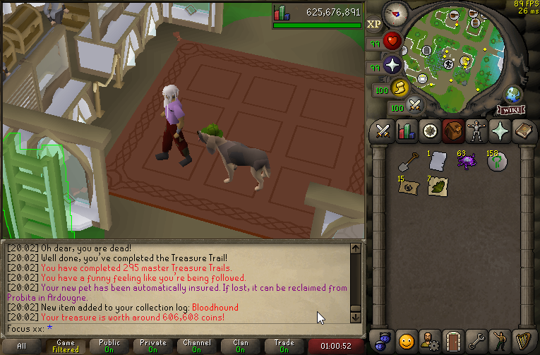 Focus409's tweet image. #31 - Bloodhound 🐶