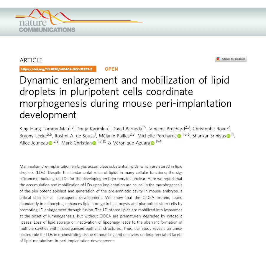 VAzuara Lab tweet media