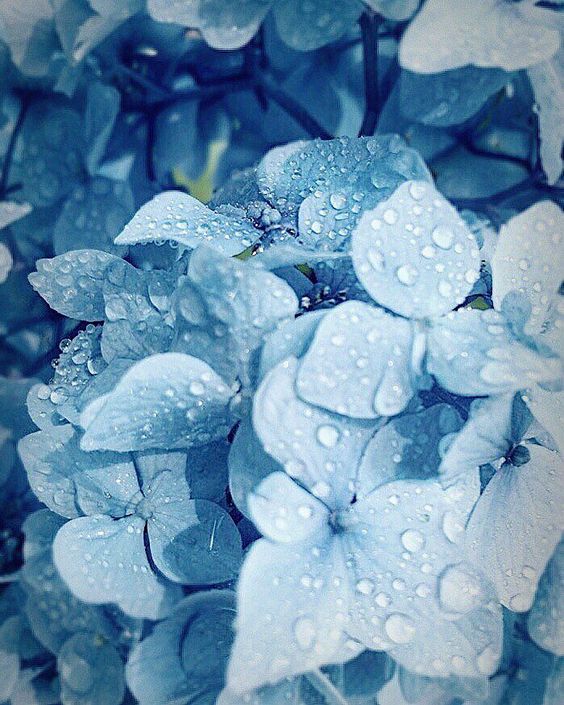 자주자주 (@jajoojajuu) on Twitter photo 