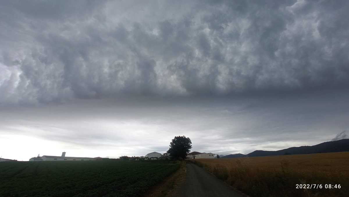 ᴀʀᴇɴɴᴀ tweet media