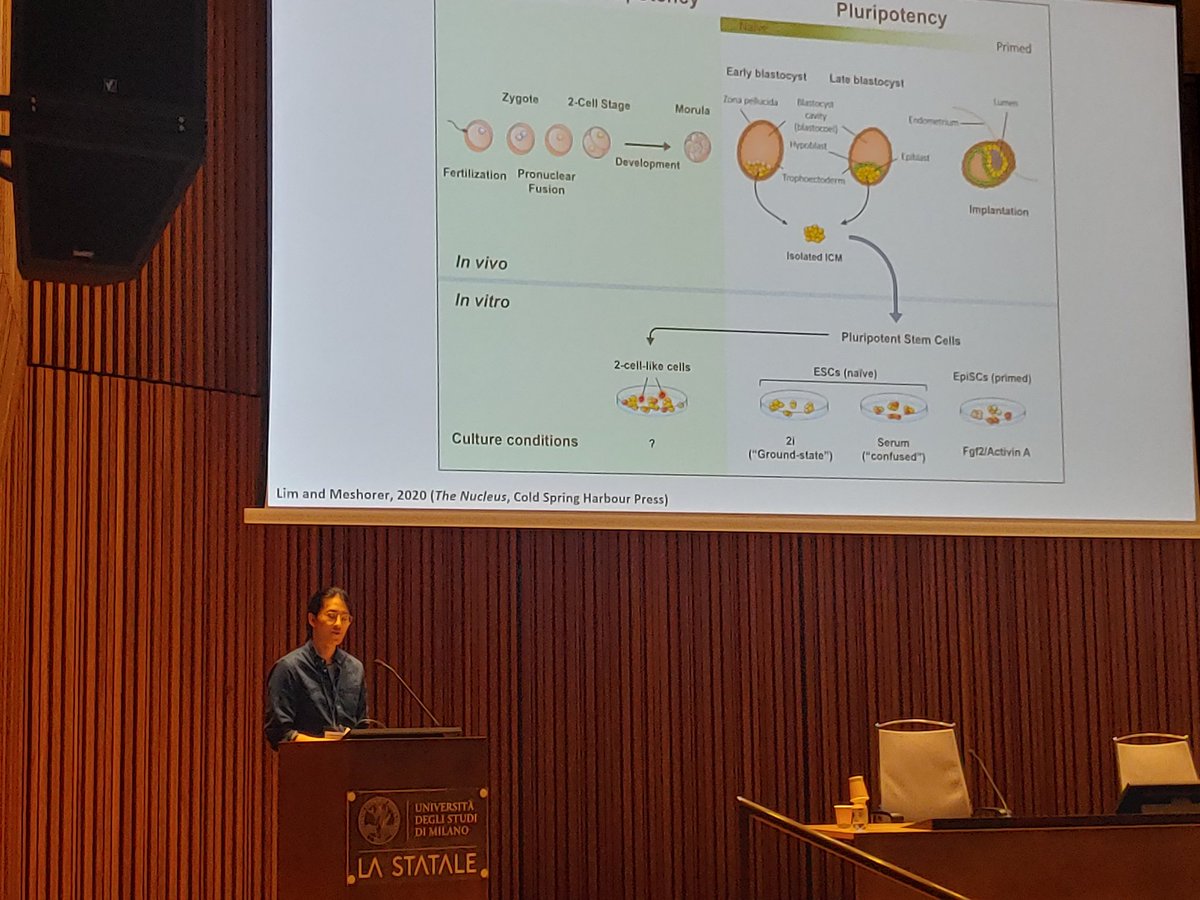 EpiSyStem ITN (@episystem_itn) on Twitter photo Last day of Stem Cells Epigenetics conference in Milan. <a href="/psl_lim/">Patrick Lim</a> of <a href="/EpiSyStem_ITN/">EpiSyStem ITN</a> with an inspiring talk! Last day of Stem Cells Epigenetics conference in Milan. <a href="/psl_lim/">Patrick Lim</a> of <a href="/EpiSyStem_ITN/">EpiSyStem ITN</a> with an inspiring talk!