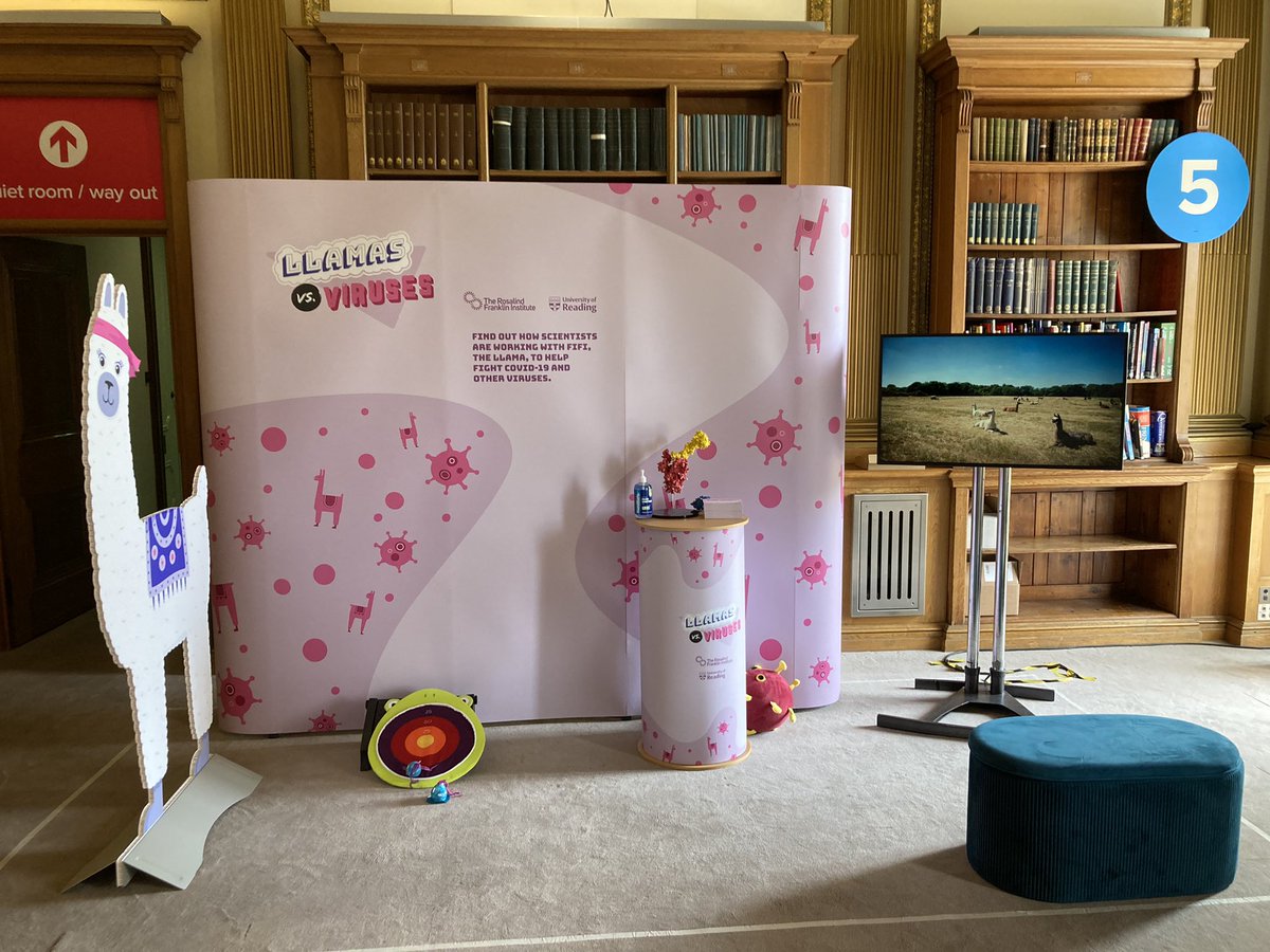 gstephens65's tweet photo. At the RSSE. stand 5 is ready for action.

@rosfrankinst @uniofreading @royalsociety
@uniofreading 
 
• #SummerScience
• #LlamasVsViruses https://t.co/5A0bzEGWKw