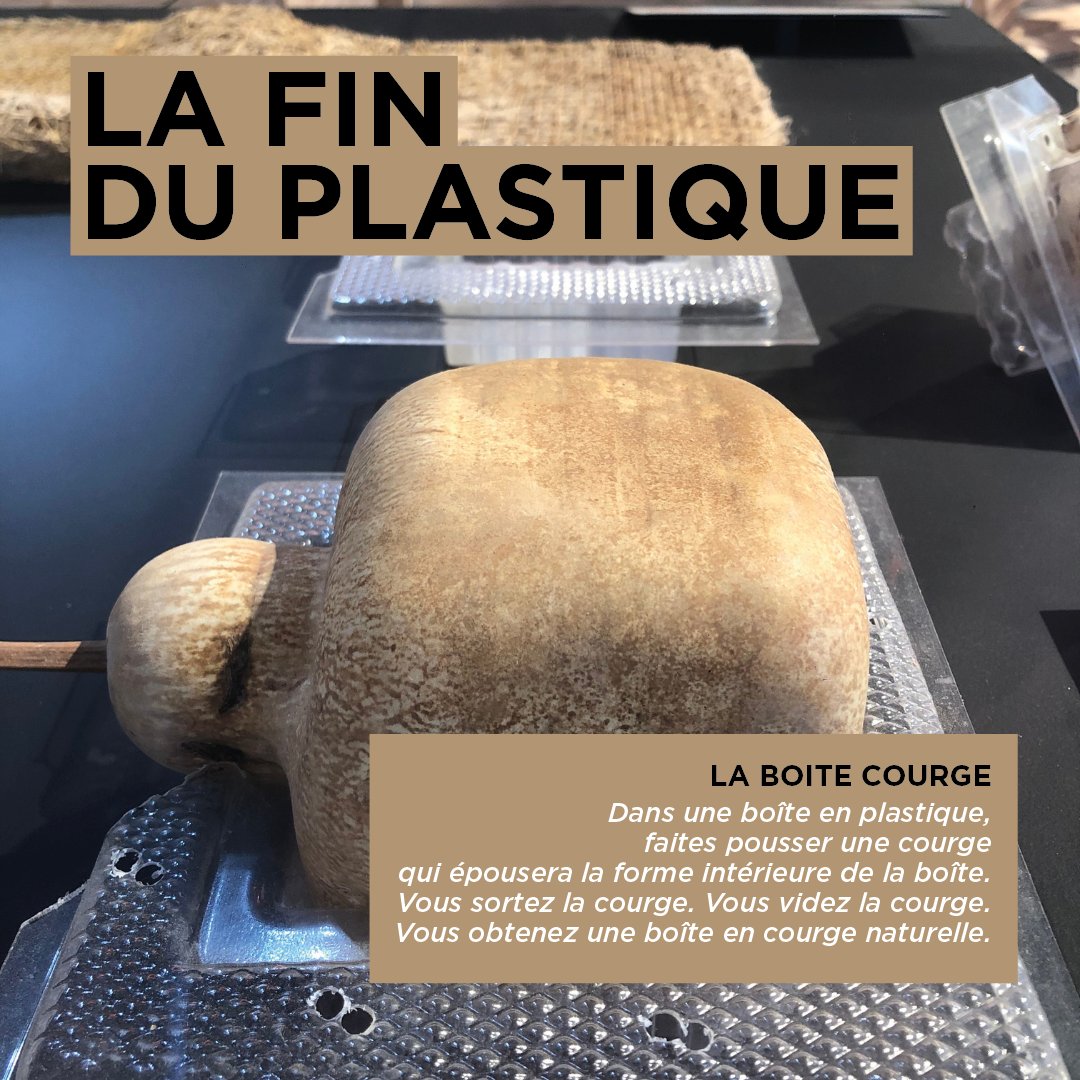 BiennaleDesign's tweet image. 🎃 Découvrez les coups de cœur de la Biennale, des anecdotes les plus passionnantes aux visuels les plus intriguants, découvrez les expositions de la #BiennaleDesign2022.

👉 Cette œuvre est à retrouver dans l’exposition &quot;Du sensoriel au biomimétisme&quot; : biennale-design.com/saint-etienne/…