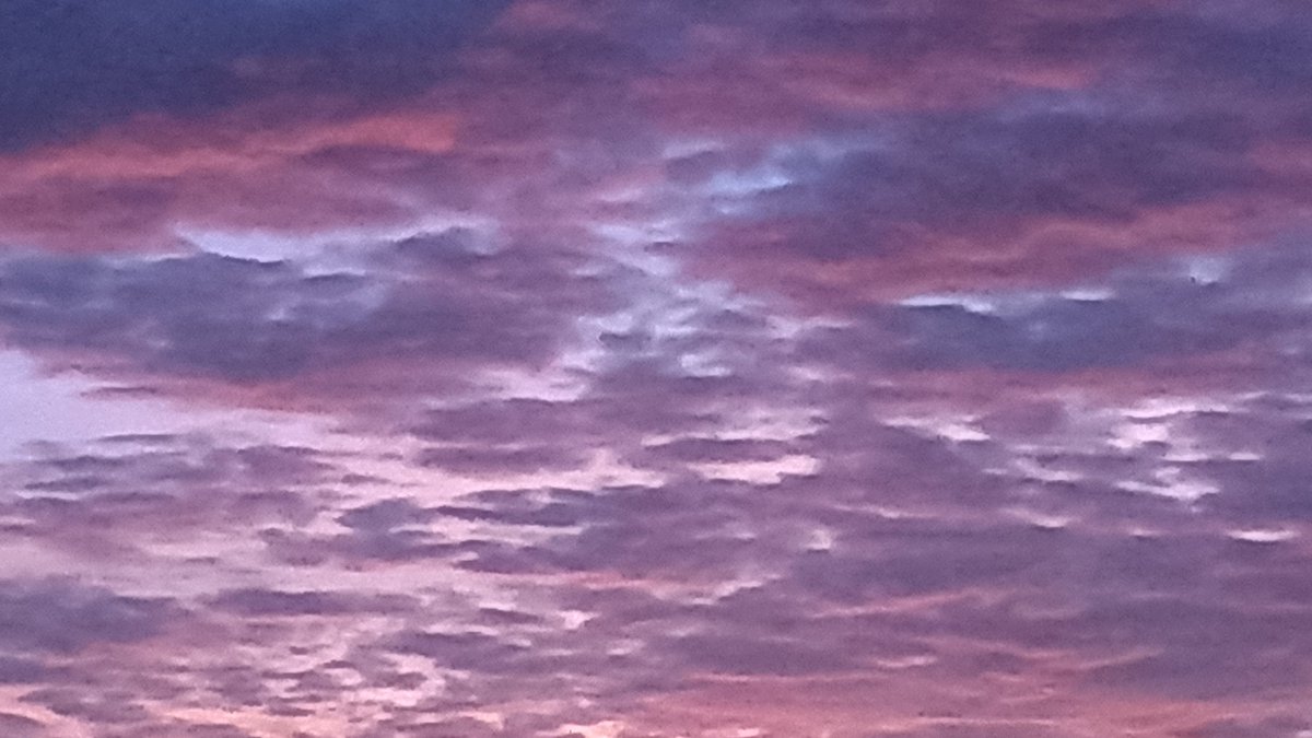 Justpyrogaming tweet media