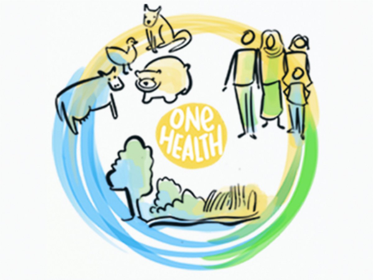 Bruno Gonzalez Zorn (@_bgzorn_) on Twitter photo Today we celebrate the WORLD ZOONOSIS DAY.
#OneHealth
who.int/news/item/07-0…
<a href="/unicomplutense/">Complutense</a> <a href="/WHO/">World Health Organization (WHO)</a> <a href="/OneHealthEJP/">One Health EJP</a> <a href="/JPIAMR/">JPIAMR</a> <a href="/animalshealthes/">Animal's Health</a> <a href="/VISAVET/">VISAVET-UCM</a> <a href="/CSIC/">CSIC</a> <a href="/SEMicrobiologia/">SEM</a> <a href="/ASMicrobiology/">ASM</a> <a href="/infecciosasryc/">Enfermedades Infecciosas RyC - @infecciosasryc.bsk</a> <a href="/SEIMC_/">SEIMC</a> <a href="/vacunando/">Vacunando</a> Today we celebrate the WORLD ZOONOSIS DAY.
#OneHealth
who.int/news/item/07-0…
<a href="/unicomplutense/">Complutense</a> <a href="/WHO/">World Health Organization (WHO)</a> <a href="/OneHealthEJP/">One Health EJP</a> <a href="/JPIAMR/">JPIAMR</a> <a href="/animalshealthes/">Animal's Health</a> <a href="/VISAVET/">VISAVET-UCM</a> <a href="/CSIC/">CSIC</a> <a href="/SEMicrobiologia/">SEM</a> <a href="/ASMicrobiology/">ASM</a> <a href="/infecciosasryc/">Enfermedades Infecciosas RyC - @infecciosasryc.bsk</a> <a href="/SEIMC_/">SEIMC</a> <a href="/vacunando/">Vacunando</a>