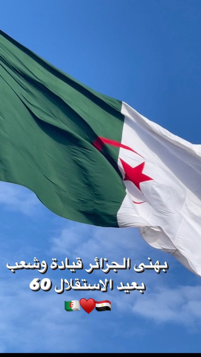 Youssra's tweet image. خالص الشكر للشعب الجزائري في مساندته و تشجيعه لبطلتنا #بسنت_حميدة في دورة البحر الأبيض المتوسط دمتم إخوة أعزاء ولكم وافر الإحترام و التقدير.. و ألف مبروك لبطلتنا