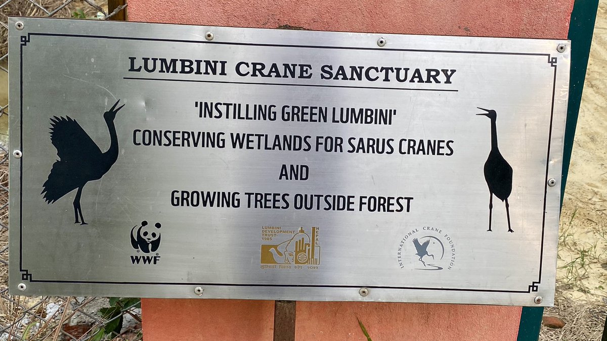 Learning more about the dharma of #conservation ,  animal-human interface and key role of community outreach with <a href="/WWFNepal/">WWF Nepal</a> <a href="/Lumbinidtrust/">Lumbini Development Trust</a> at #Buddha‘s birthplace 
#biodiversity #ClimateAction #SDGs