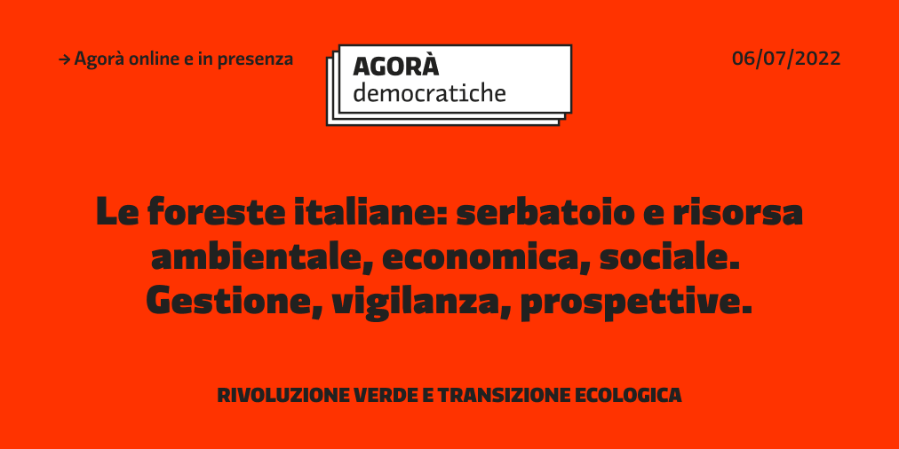 agora_dem's tweet photo. Le proposte su gestione dei fondi, #tutelaambientale, prevenzione #incendi e dissesto idrogeologico per le #foreste 🇮🇹 nell’agorà di oggi. Tra i partecipanti la sottosegretaria @ilariafontana5s, @susannacenni, @bragachiara, @paolodecastro, @stefaniapezzopa https://t.co/LlekMVVTve https://t.co/flC4cfYMua