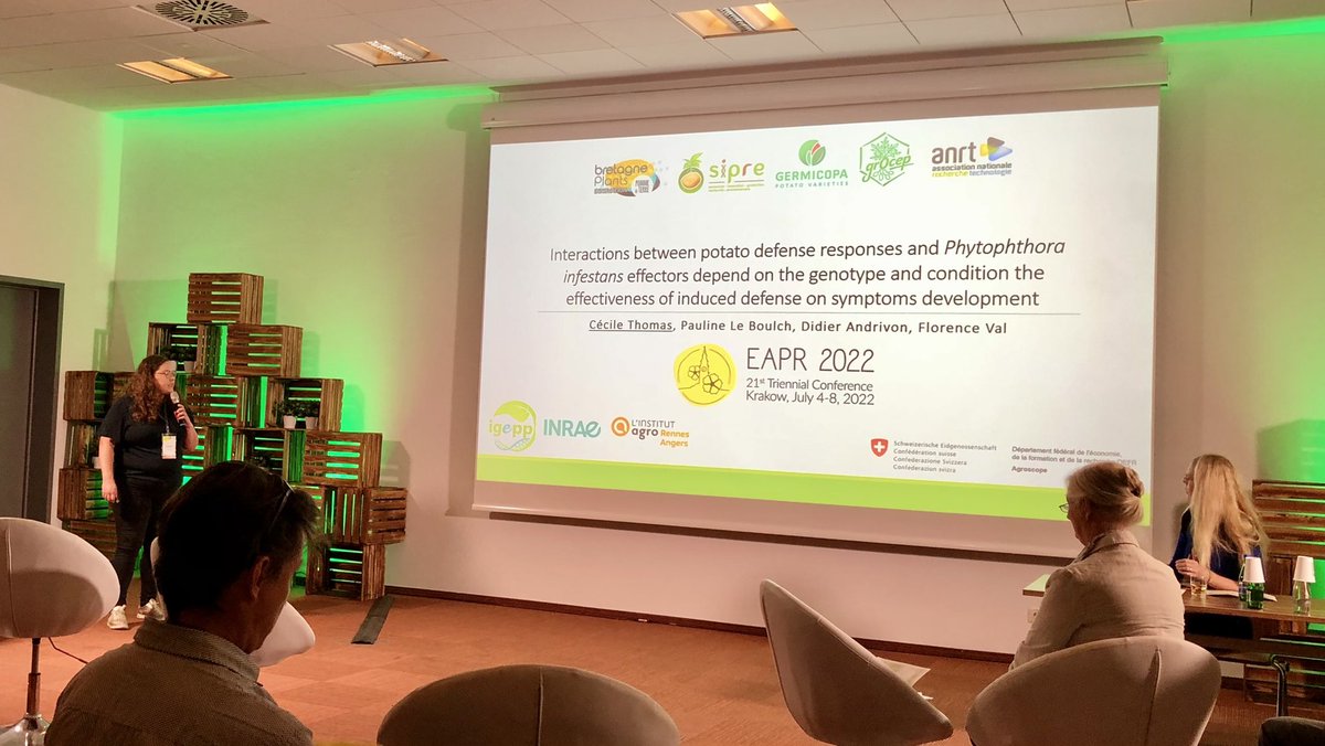 Mout De Vrieze tweet media