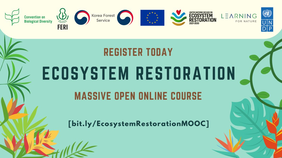 UNEP_NAmerica's tweet image. Want to learn how to heal the planet? 🌏

Register today for a free expert-facilitated Massive Open Online Course on Ecosystem Restoration by @UNDP and @UNBiodiversity. 

Learn more: bit.ly/EcosystemResto… 

#GenerationRestoration #ForNature