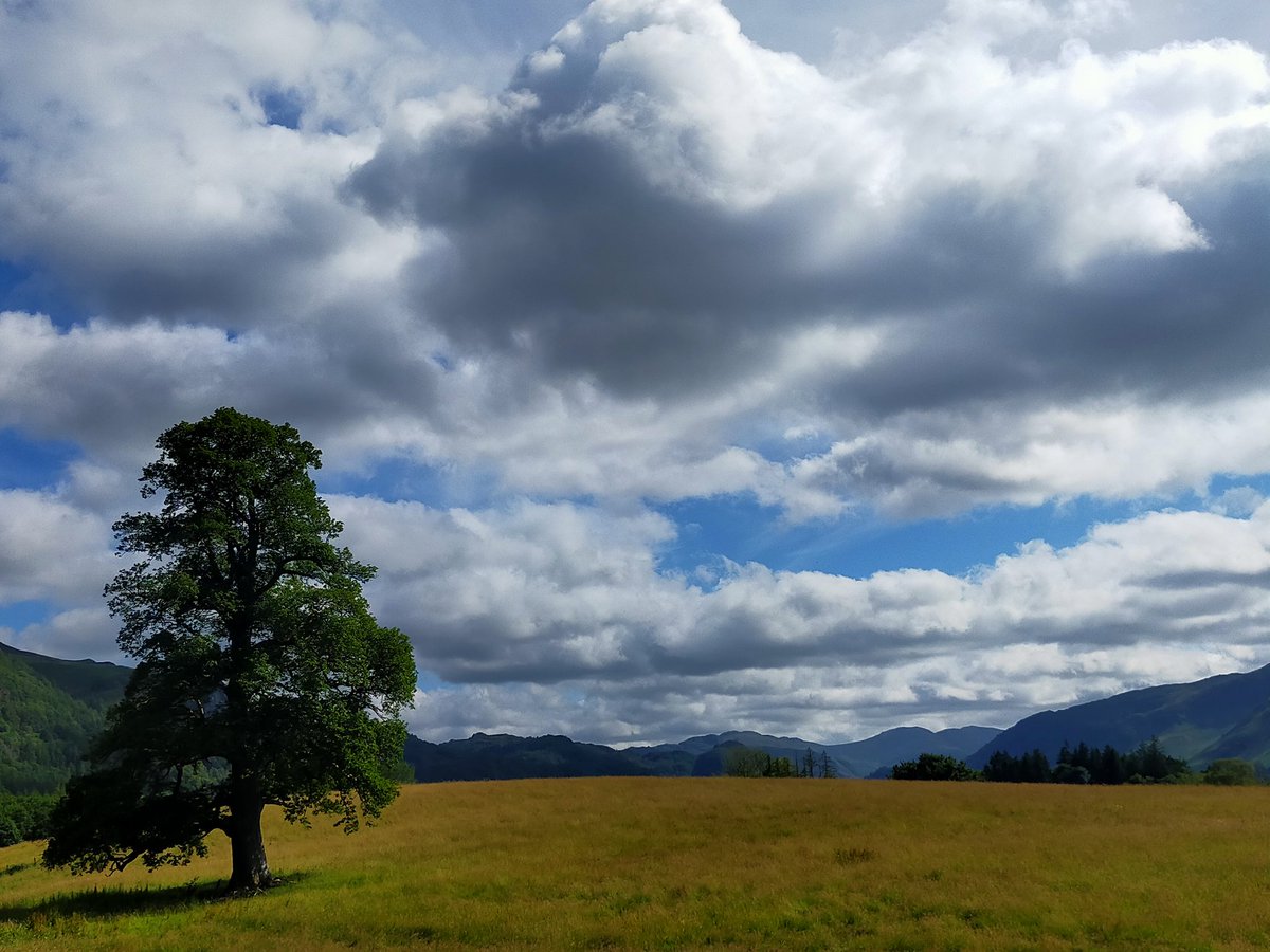 One of the many beautiful sights on our walks visiting the @lakedistrictnpa #LakeDistrict #keswick with @tyu8 for the first time.