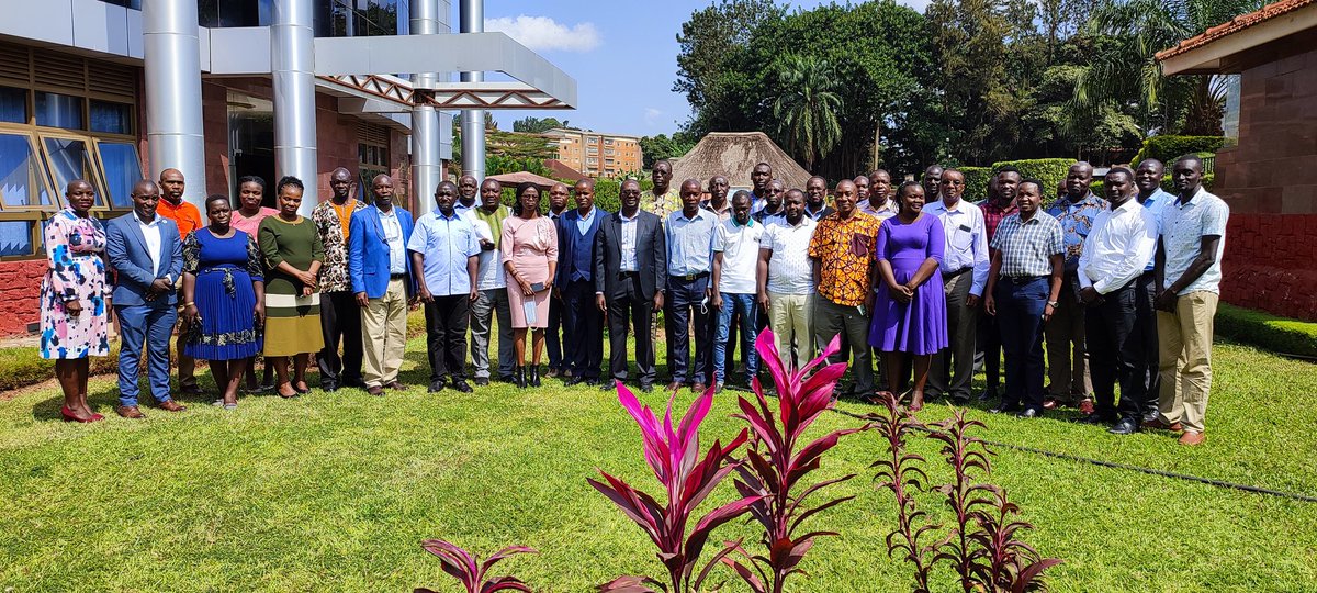 VictoriaMbigidd's tweet photo. Happening Now: Early Generation Seed Stakeholders' engagement convened by @naroholdings supported by @ICRISAT. Participation: Breeders, seed companies, grain off takers and development partners. @issd_uganda @CGIAR @NARO_NaCRRI @narouganda @gnuts_NaSARRI @MUTACRIS @KugonzaJane https://t.co/rBRxu8Ooyq