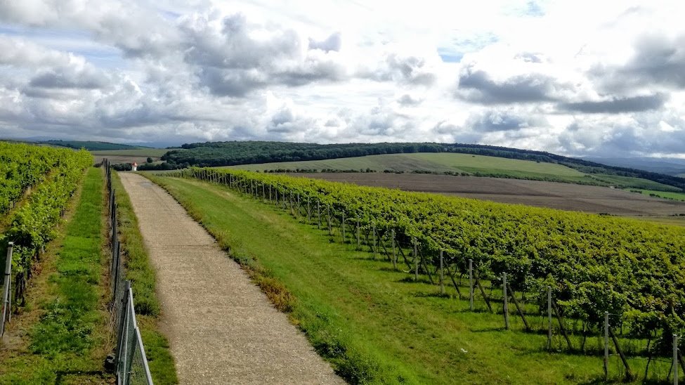 JustScapes's tweet photo. On #landscape binaries and #transformation labs...
📰🌿 Just published: our interview with @ZuzanaHar and Barbora Nohlová from our Czech team. 🌿📰
https://t.co/XtxnCwhxDY
#EnvironmentalJustice #ClimateJustice #JustTransformations #CzechRepublic #Rural #SouthMoravia https://t.co/TJ6h3GuY2b