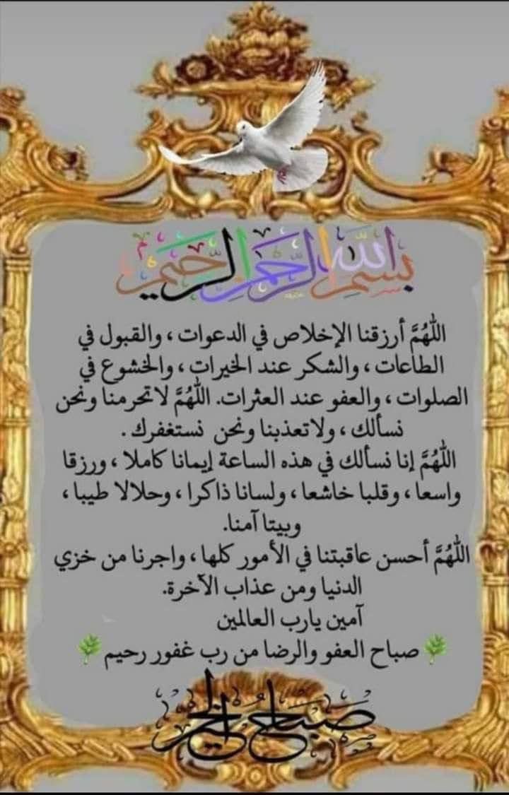 azzooozah's tweet photo. ماأعظمك يارب 
وأنا في خلوتي أناجيك 
وما أكرمك 
وأنت تجود علينا بنعمك وعطاياك 
وما أرحمك 
وأنت تعفو وتغفر لعبادك
الخطائين ..!
#عز  #عز_لؤلؤة_السادة
#سادة_الحرف 
#رباب_الكلم #زبرجد_حرف https://t.co/WU4xrr0gw2