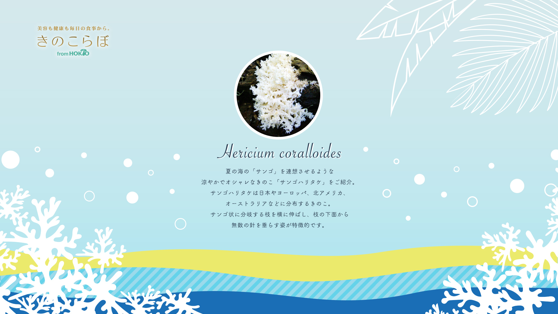 野生のきのこ Twitter Search Twitter