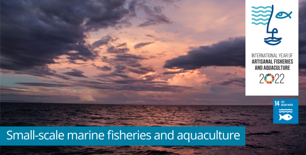 ICSF1's tweet photo. It is time to think creatively, join hands and start making plans for how to make #IYAFA2022 a memorable year. Start by using our free material to give small-scale #fishers ��, #fish farmers and #fishworkers the attention they deserve! 🌏🐟⚓️

➡️ https://t.co/CSOY7Y8UFW https://t.co/77P2y4SPt0