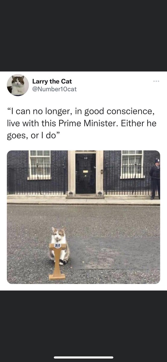 JacobWalshOpera's tweet photo. If @Number10cat leaves then we know as a country… we have failed.

#BorisOut #BorisTheLiar #BorisJohnsonOut #BorisJohnsonMustResign https://t.co/3FS9eUocqp