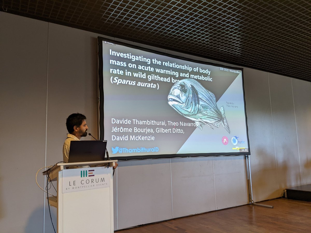 More great talks in the Open Animal Biology section <a href="/SEBiology/">SEB @sebiology.bsky.social</a> #SEBconference by and <a href="/ThambithuraiD/">Davide Thambithurai</a> <a href="/afishyonado/">David John McKenzie</a> this morning #fishsci