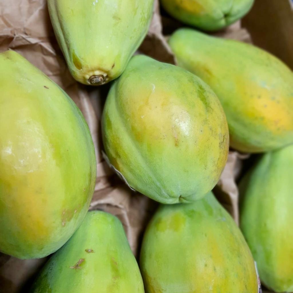 Wild Harvest tweet media