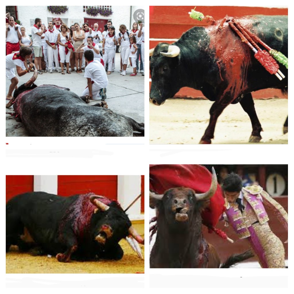 The great tradition of psychopaths! #Pamplona bull run is starting today.. It's time to ban this shameful torture-event! @EmbEspAlemania