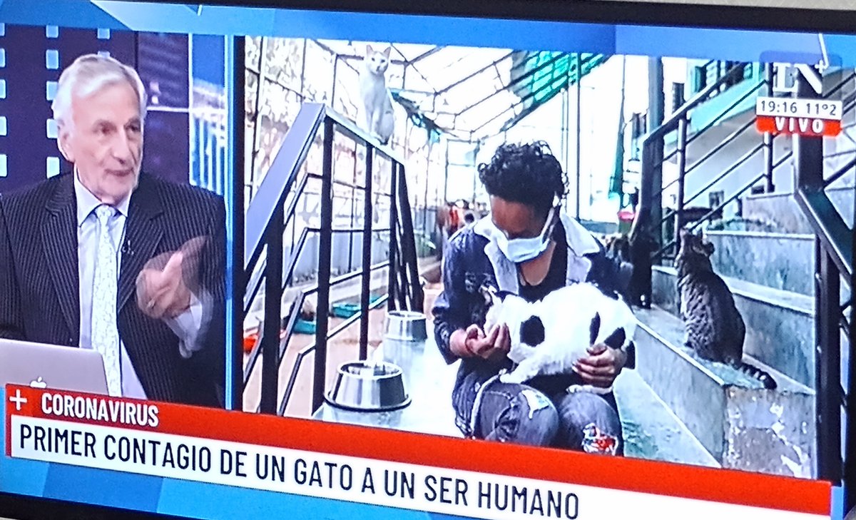 ReposiGustavo's tweet photo. Apareció Ziniestro,ahora contra las mascotas https://t.co/S79US1rqft