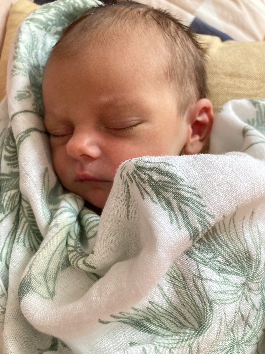 Dr Hannah Hobson tweet media