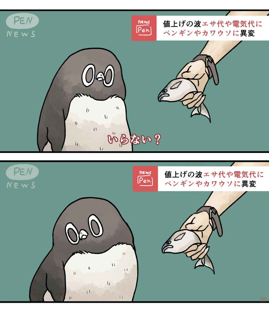 【NEWS】
サバを拒否するアデリーペンギン。
「アジがいい」
#アデリーペンギン 
