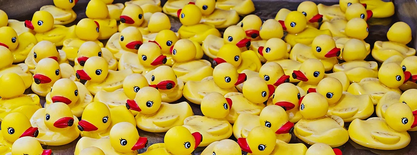 AlcesterTown's tweet photo. Do you love to see the summer bunting and Christmas lights brightening up our lovely town?
Please help to raise funds in support by buying a duck to enter in the annual duck race taking place this Saturday 9 July at Centenary Fields.
https://t.co/ArUXQqARQC https://t.co/r1v0GILigD