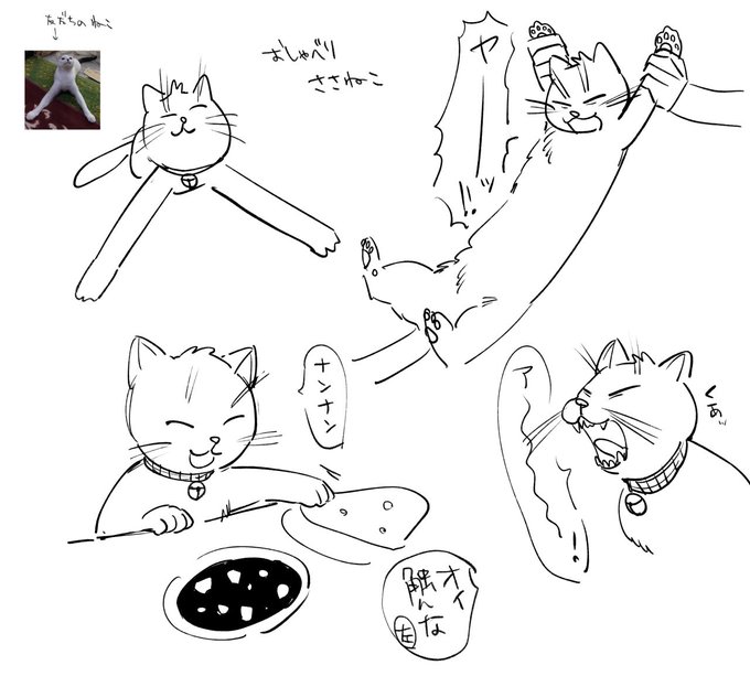 「猫 ストレッチ」のTwitter画像/イラスト(新着)｜2ページ目
