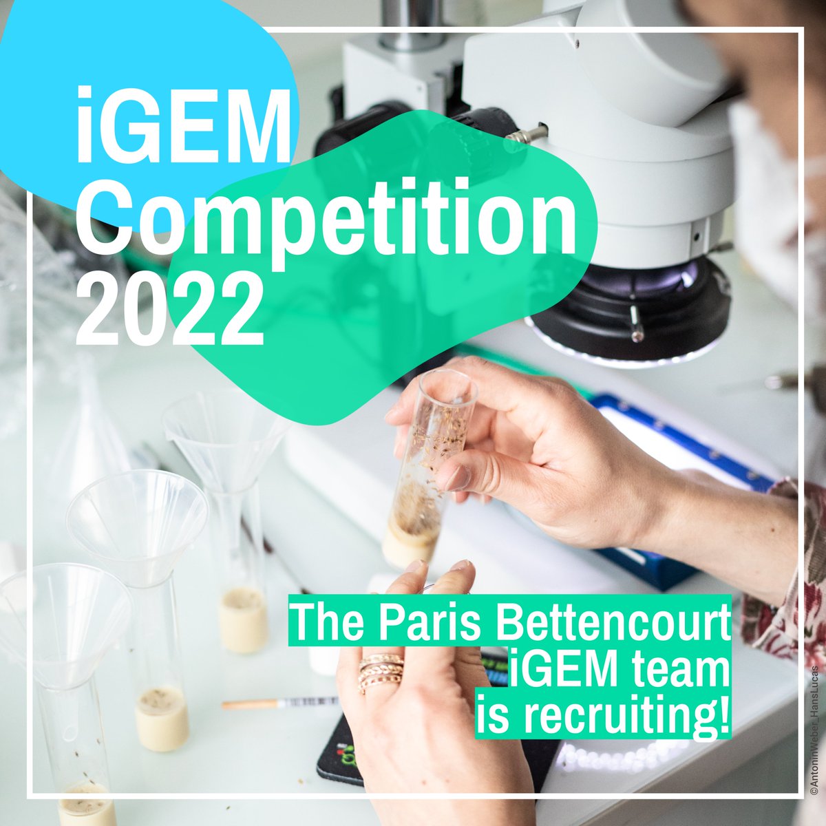 Learning Planet Institute (@lpiparis_) on Twitter photo 📢#iGEMCompetition
Join the <a href="/lpiparis_/">Learning Planet Institute</a>-based team - #ParisBettencourt #iGEM team!🤩
👉Project: to engineer bacteria to control & be controlled by electricity
📲tinyurl.com/4ywvuhz5
More on the competition: competition.igem.org 📢#iGEMCompetition
Join the <a href="/lpiparis_/">Learning Planet Institute</a>-based team - #ParisBettencourt #iGEM team!🤩
👉Project: to engineer bacteria to control & be controlled by electricity
📲tinyurl.com/4ywvuhz5
More on the competition: competition.igem.org