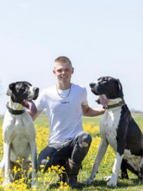 Frank Hoogerbeets tweet media