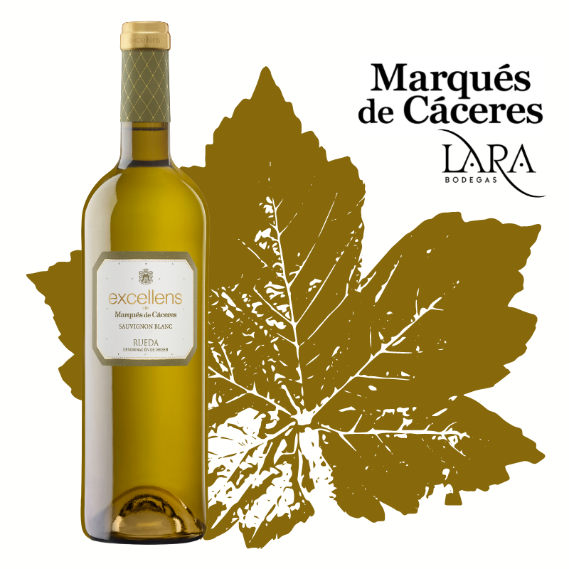 Bodegas Lara tweet media